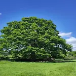 Tour De France Retreat * Gouvets