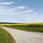 Tour De France Retreat