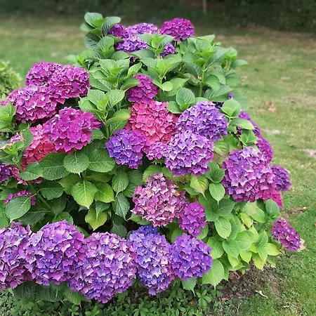 Well-equipped Mobile With Garden In Normandy بيت للعطل Gouvets