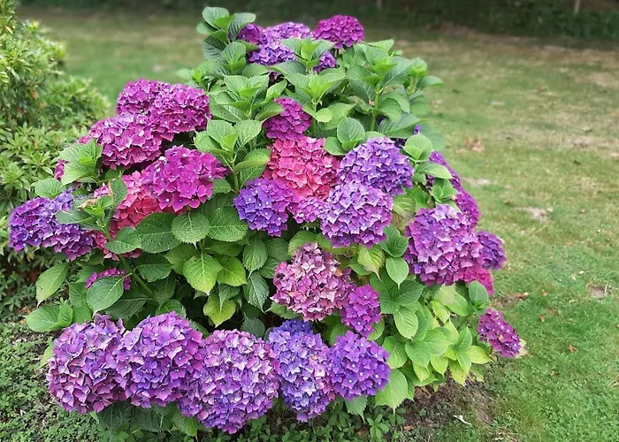 Well-equipped Mobile With Garden In Normandy Nyaraló Gouvets