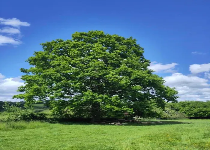 Well-equipped Mobile With Garden In Normandy * Gouvets